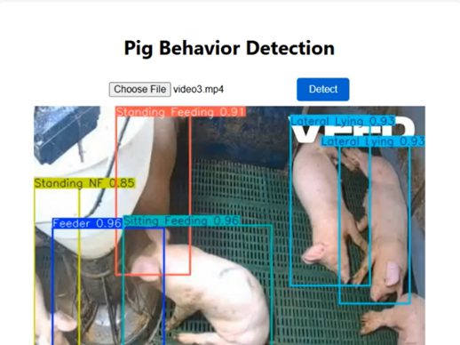 Pig Behaviour Detection System